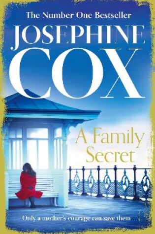 Cover of A Family Secret