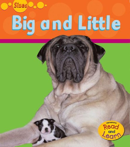 Book cover for Big and Small