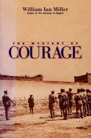 Cover of The Mystery of Courage