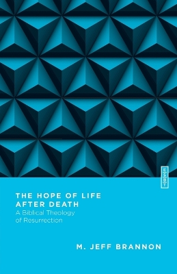 Cover of The Hope of Life After Death