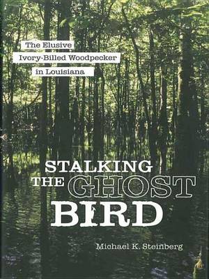 Book cover for Stalking the Ghost Bird