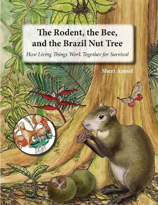Book cover for The Rodent, the Bee, and the Brazil Nut Tree
