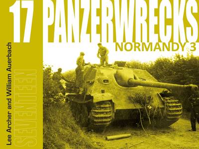 Book cover for Panzerwrecks 17