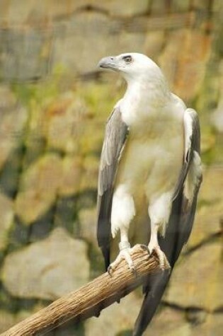 Cover of White Bellied Sea Eagle Journal