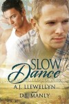 Book cover for Slow Dance