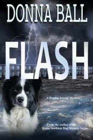 Cover of Flash