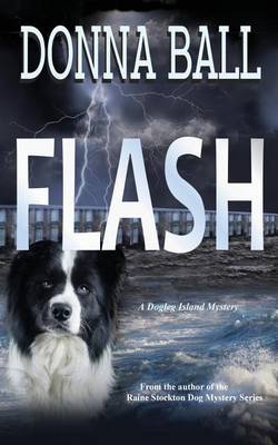 Book cover for Flash