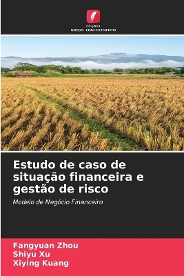 Book cover for Estudo de caso de situação financeira e gestão de risco