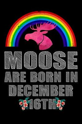 Book cover for Moose Are Born In December 16th