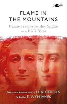 Book cover for Flame in the Mountains