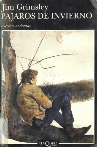 Book cover for Pajaros de Invierno