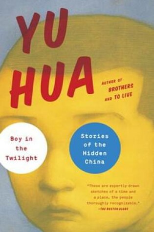 Cover of Boy in the Twilight