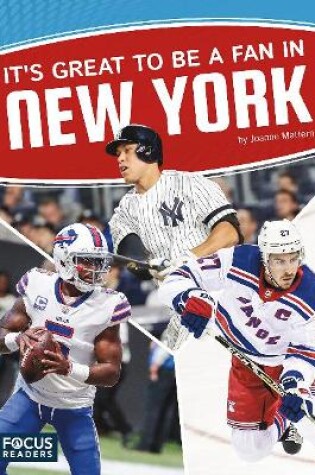 Cover of Itâ  s Great to Be a Fan in New York