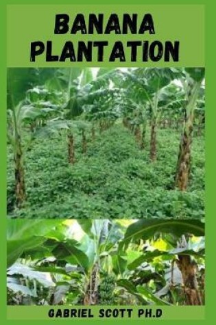 Cover of Banana Plantation