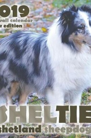 Cover of Sheltie