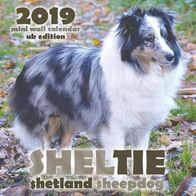 Book cover for Sheltie