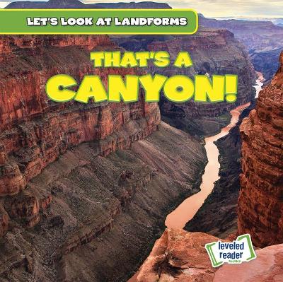 Cover of That's a Canyon!