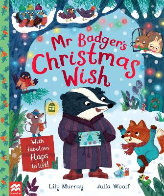 Book cover for Mr Badger's Christmas Wish
