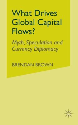 Book cover for What Drives Global Capital Flows?