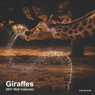 Book cover for Giraffes