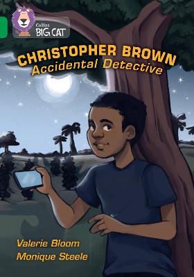 Cover of Christopher Brown: Accidental Detective