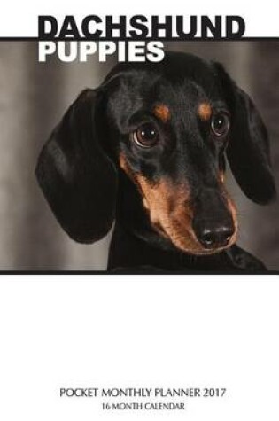 Cover of Dachshund Puppies Pocket Monthly Planner 2017