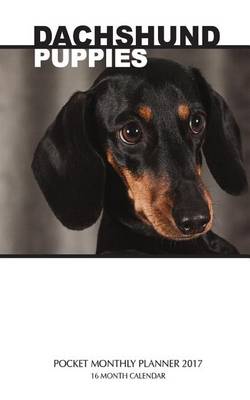 Book cover for Dachshund Puppies Pocket Monthly Planner 2017