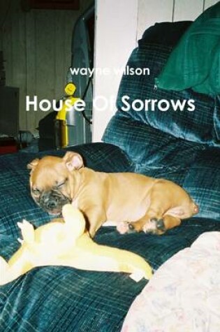 Cover of House of Sorrows