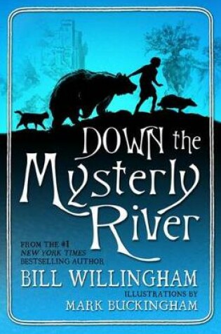 Cover of Down the Mysterly River