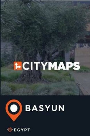 Cover of City Maps Basyun Egypt