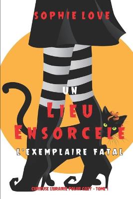 Book cover for Un lieu ensorcelé