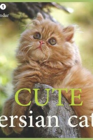 Cover of Cute persian cats