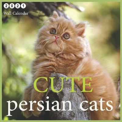 Book cover for Cute persian cats