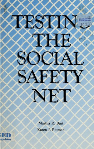 Book cover for Testing the Social Safety Net