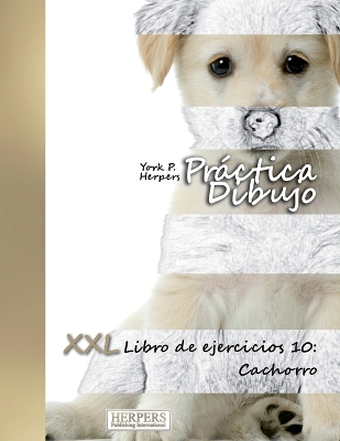 Book cover for Práctica Dibujo - XXL Libro de ejercicios 10