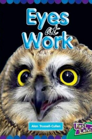 Cover of All About Eyes at Work Fast Lane Emerald Non-Fiction