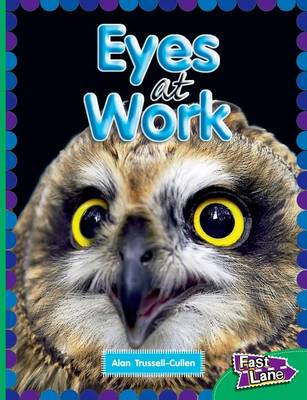 Book cover for All About Eyes at Work Fast Lane Emerald Non-Fiction