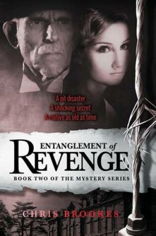 Cover of Entanglement Of Revenge