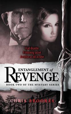 Book cover for Entanglement Of Revenge
