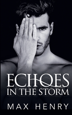 Book cover for Echoes in the Storm