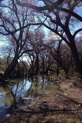 Book cover for Beautiful Creek in a Small Mexican Town