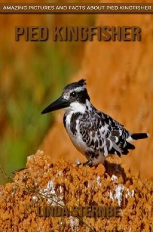 Cover of Pied Kingfisher