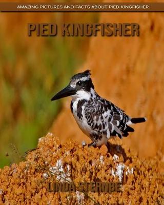 Book cover for Pied Kingfisher