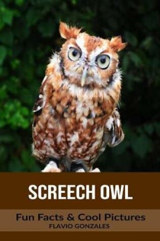 Cover of Screech Owl