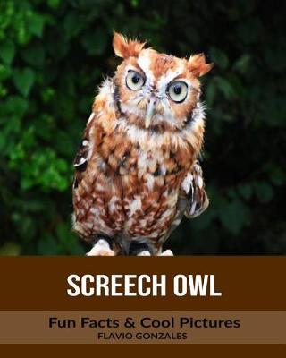 Book cover for Screech Owl