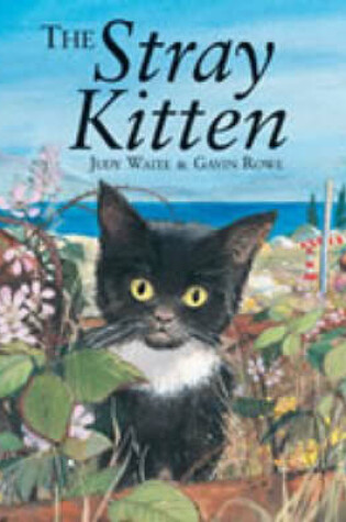 Cover of The Stray Kitten