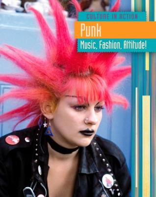 Book cover for Punk