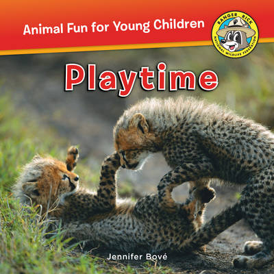 Book cover for Playtime