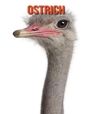 Book cover for Ostrich