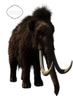 Book cover for Woolly Mammoth Dinosaur Composition Book